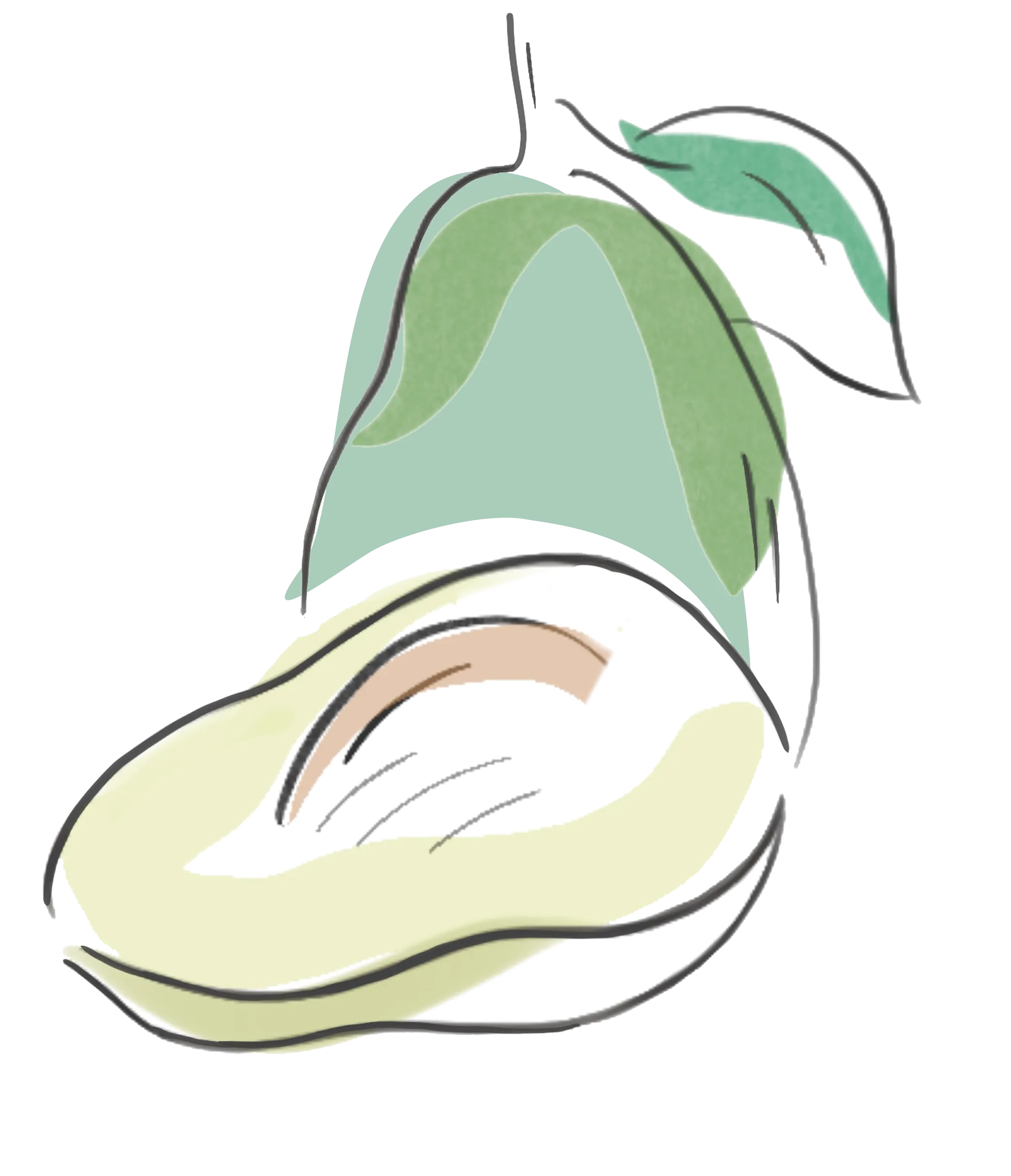 牛油果油